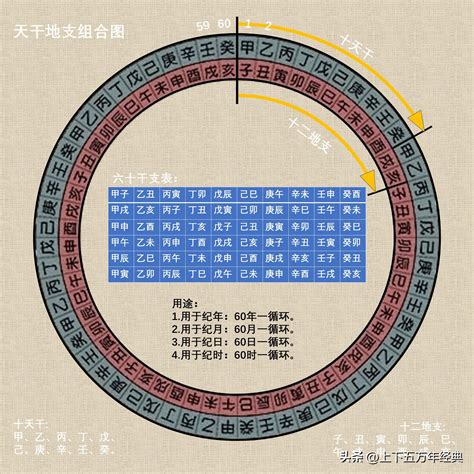 丙酉|干支纪年